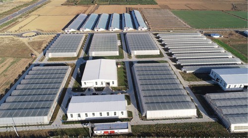 河南内乡：用科技“武装”农业 打造高效农业新名片