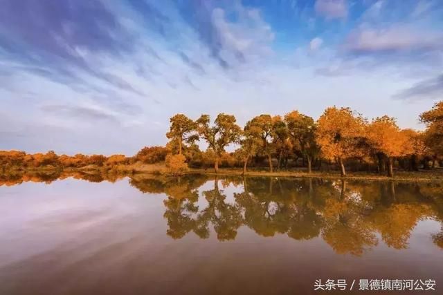 额济纳：中国最美的秋天！