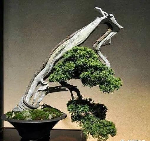 非艺术:平铺直叙非艺术,舒展层次真魂灵