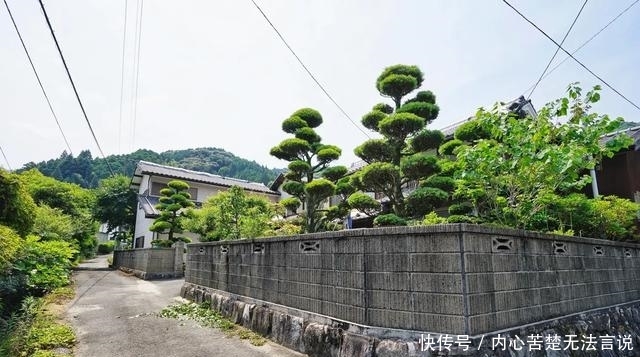 隐于市的日本这座寺庙，是日本人求姻缘的首选，也是赏花的好地方