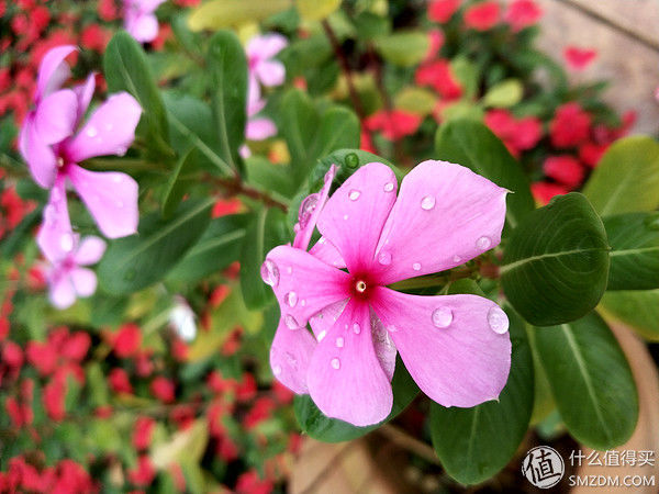 极速过气的换代机?新机来临前夕开箱回顾 小米 MIX 2