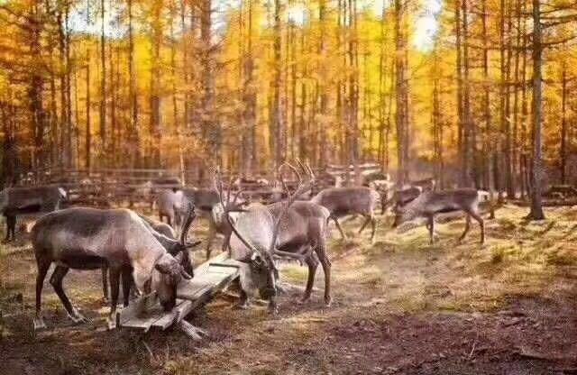 秋季去哪里旅游好? 东北6大赏秋地，值得推荐!