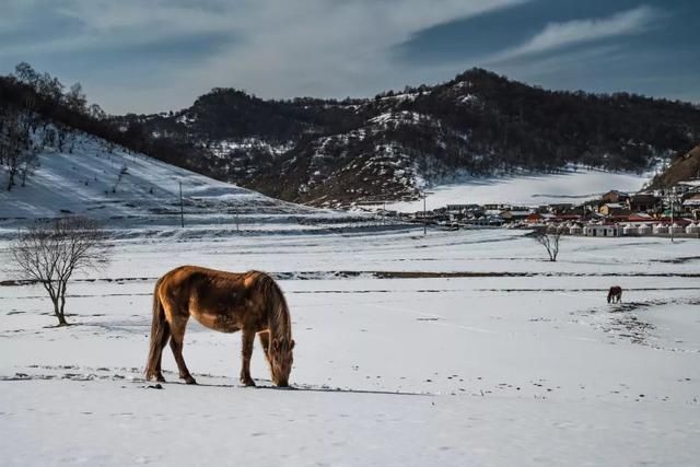 初冬已至，降温来袭 | 陕西这些地方已经下雪啦！想看雪景的走起