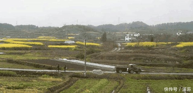 明年, 农村这2类人将全部被销户, 土地被收回, 你还有安全感吗