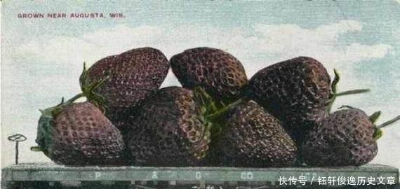  【饥荒】美国才是“浮夸风”的鼻祖，超出你想象的照片，带来的