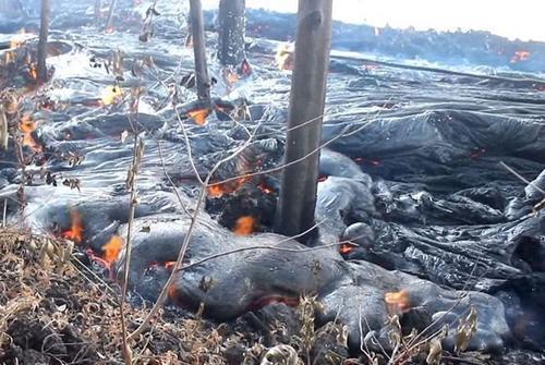 夏威夷活火山喷发 熔浆吞噬森林