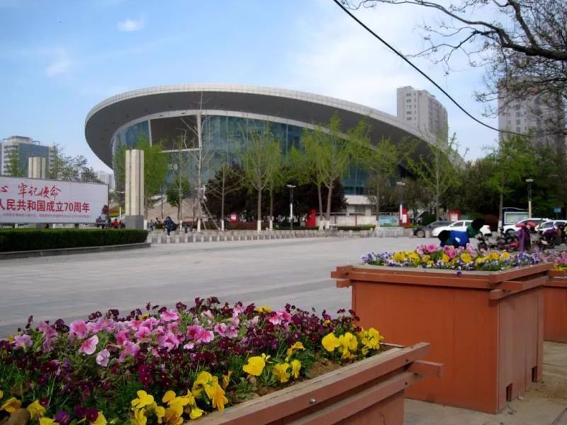  【簇拥】菏泽：鲜花簇拥牡丹城