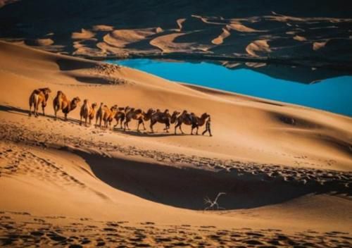 世界之最，巴丹吉林沙漠，其中的必鲁图峰是世界最高沙峰