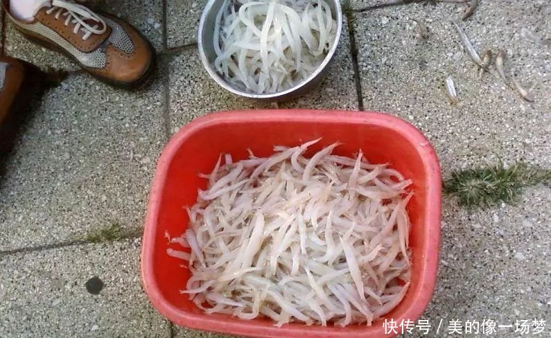  #小伙#小伙在江边野钓，竟钓到“透明”的鱼！拿回家煎蛋才发现