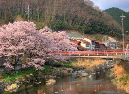 看看日本真实的农村，再看中国的农村，看完才知道差距不是一般大
