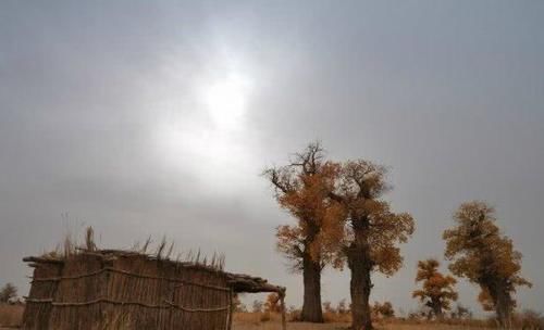 中国最“神秘”的村子，藏在井下几千年，几乎没有人能够发现！