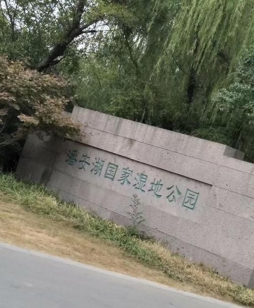 中国最大的湿地公园,竟然在一个名不见经传的小县城里,景色很美