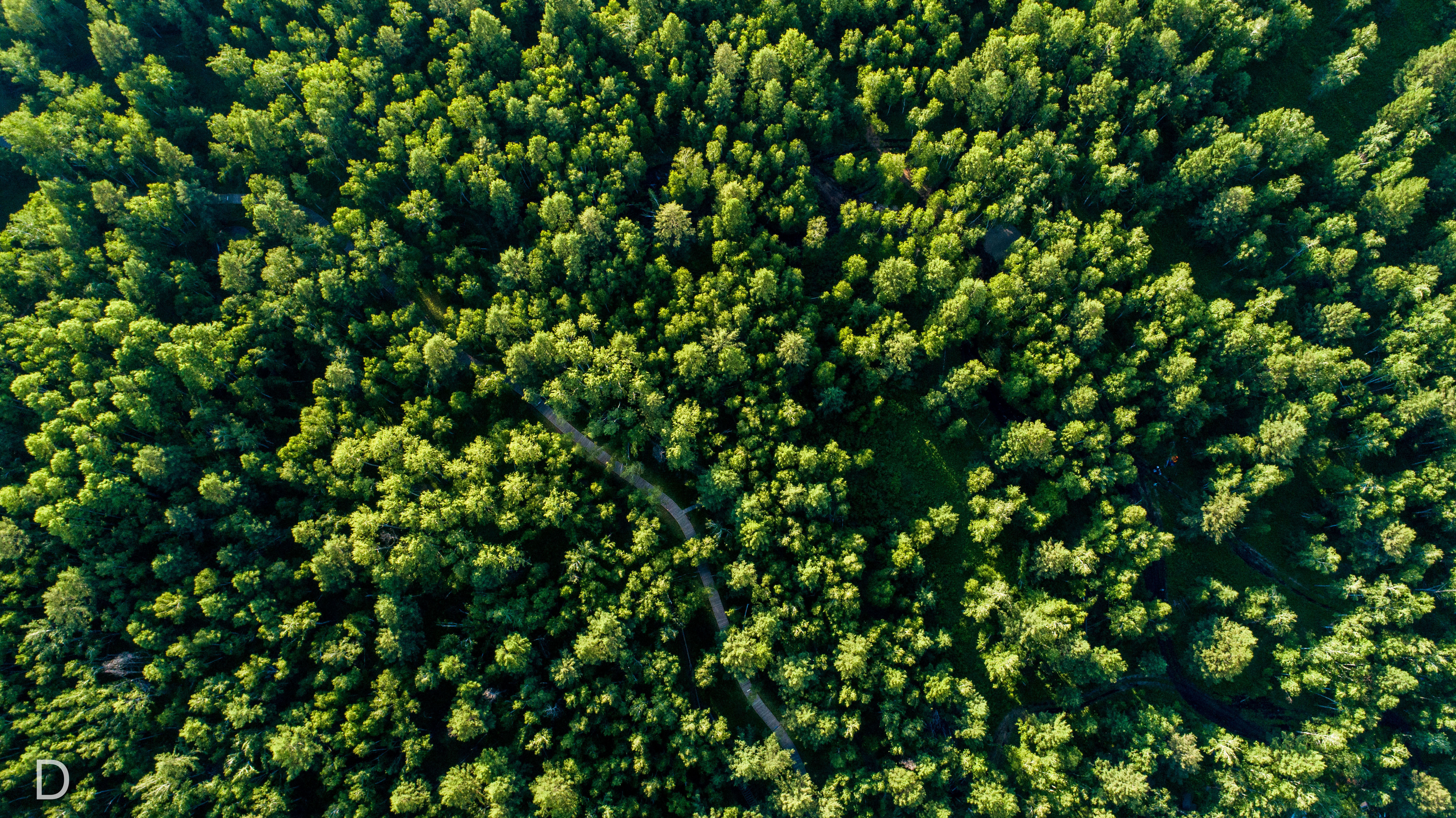 父亲的草原母亲的河,呼伦贝尔大草原找寻中俄边境上神奇的额尔古