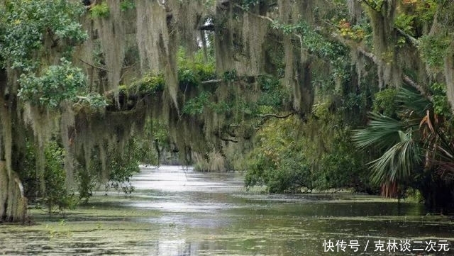 跟着迪士尼游遍世界童话城堡,连周杰伦都来打卡,其中一处竟在中国