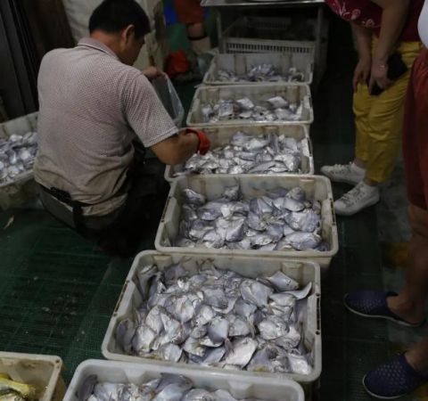 鲅鱼圈开海了,吃海鲜不被坑,但本海海鲜价格和你想的不一样