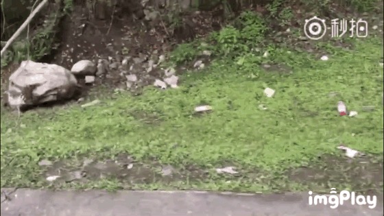 你朋友圈的照片有多美，背后的真相就有多丑陋！