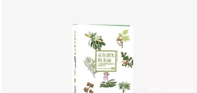  【观赏价值】正在消失的美丽：稀有兰花