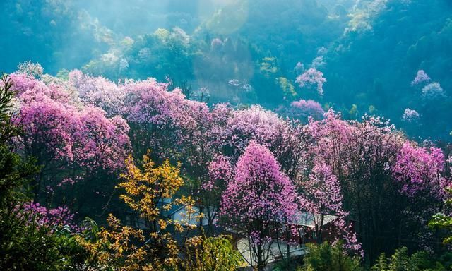 李子柒家乡绵阳风情