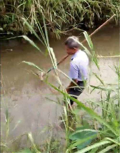  [池塘]农村老大爷野外发现泥水池塘，渔网水底一捞，惊起一堆大