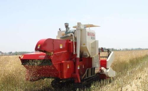  黑人|中国农村很常见，引入非洲却成了当地神器，黑人痛恨来得太