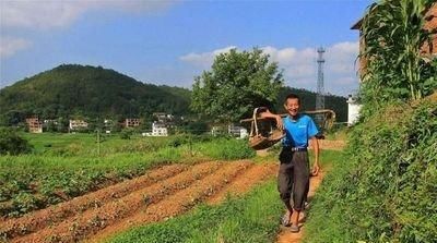  【黄土背】现在的农村，乡亲们还像以往一样“面向黄土背朝天”辛苦劳作吗？