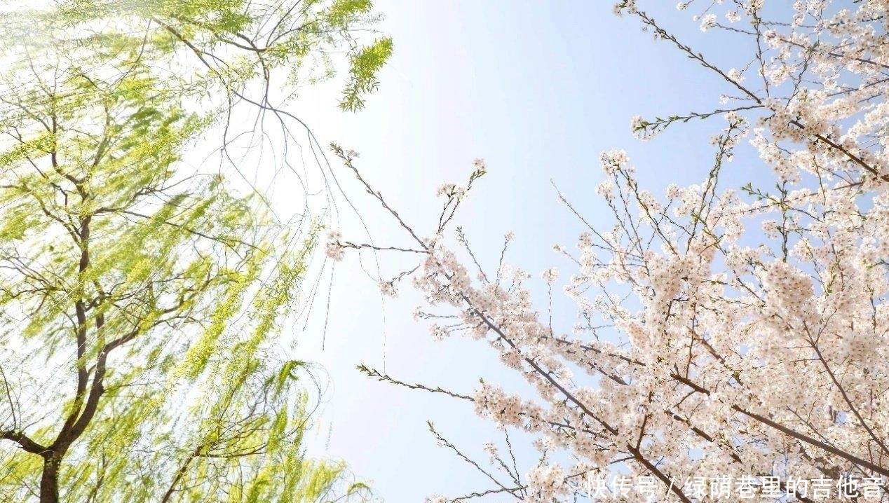  『随手』北京赏花必去之地！随手一拍就能惊艳朋友圈，还有超火网红樱花糕