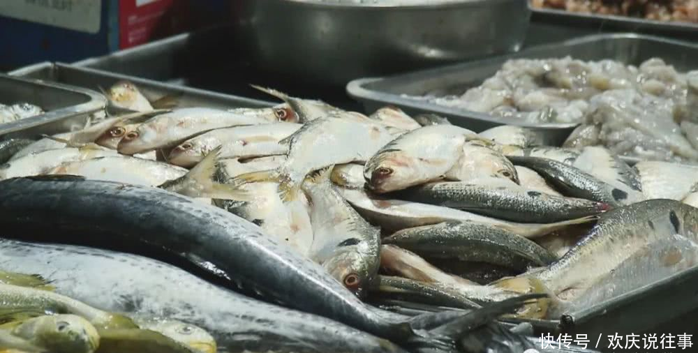 『国家级』山东荣成:海钓惊喜连连 海味流连忘返