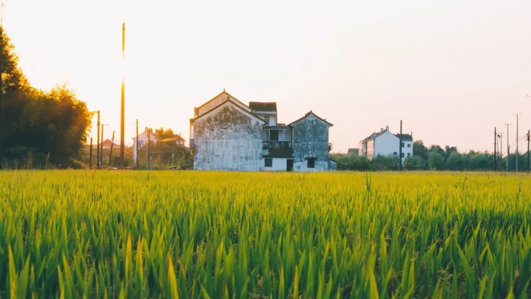 重要提醒！你的养老将迎来4大变化，不知道就亏大了！