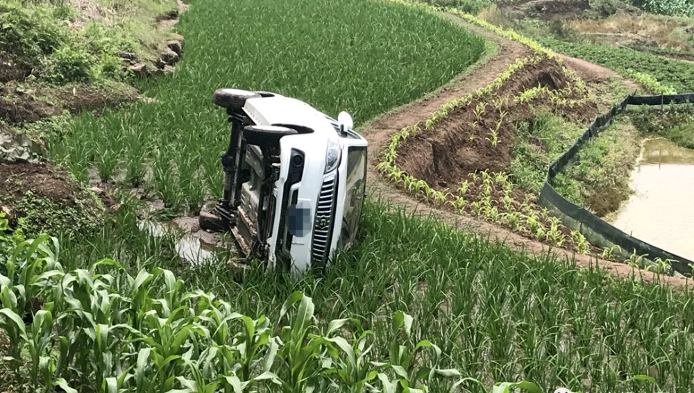 【电动小车】太刺激了！一辆汽车冲进江安的稻田，拐了180度