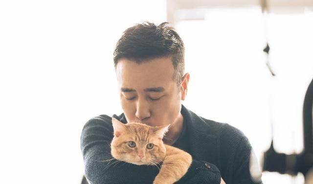 电影宠爱的票房现在是多少