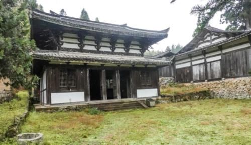 浙江这棵1500年坚强树，架满钢筋靠输营养液“苦苦支撑”，网友：