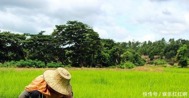 现在农村种地大户，到底挣不挣钱，农村小伙精心分析，结果很意外