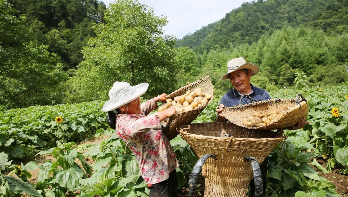 66岁老夫妻留守深山，陪86岁失明老妈，人勤物丰日子越过越好