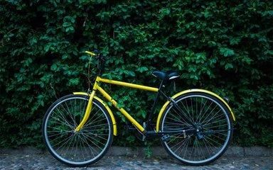 科技晚报:ofo上线广告业务 Facebook推进语音