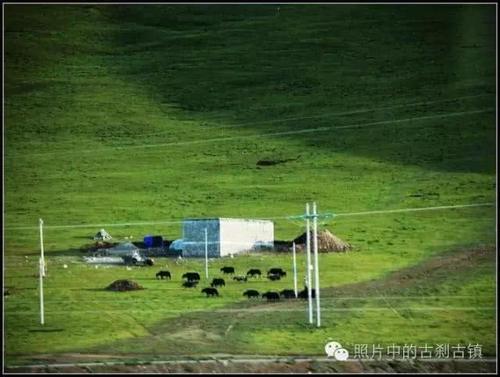 雪域西藏-那曲草原