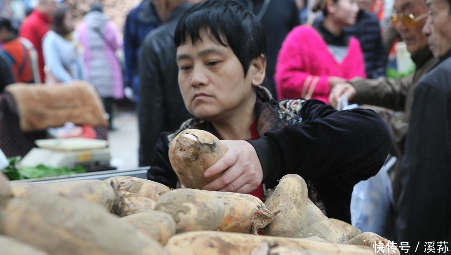 一家三口贩莲菜日入千元 供俩孩子读书