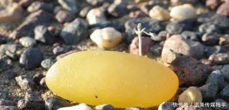  [戈壁玉]新疆捡石头的10个好地方！