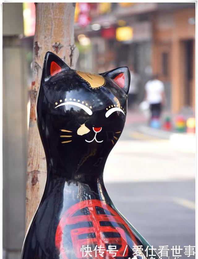 「鸽子」顶澳仔猫街撸猫、白鹭洲喂鸽子,厦门文艺之旅,去过才算没白来!