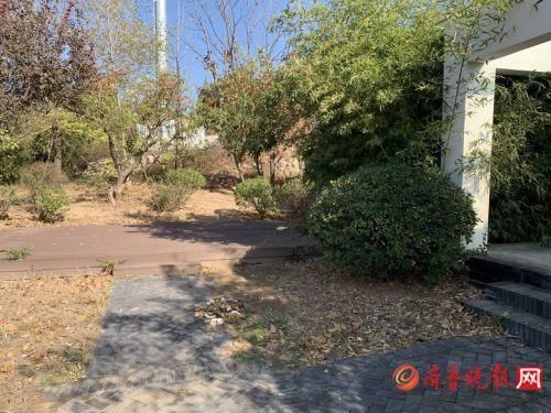 这处山体公园咋没人管？家门口的公园日渐荒废，市民觉得很可惜
