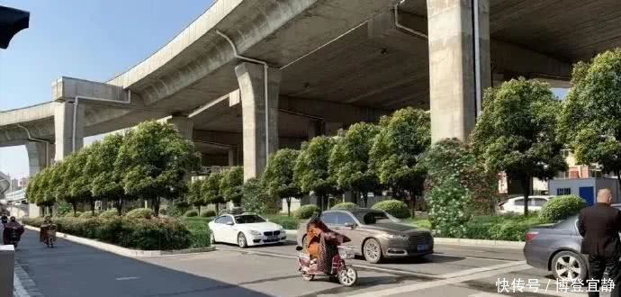  「城市」打造城市立交花桥景观节点！石家庄这个街道将进行景观提升
