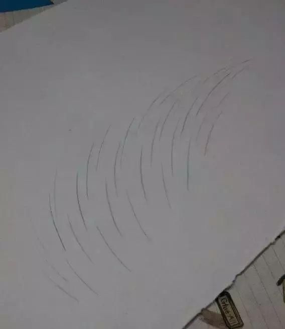 零基础素描入门，素描眉毛的画的画法!