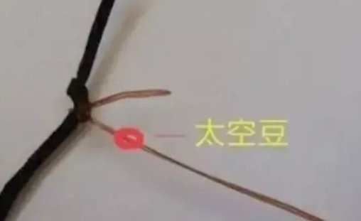  『新式』小小太空豆却有大讲究，大多数钓鱼人不知这“新式”用法，莫外传
