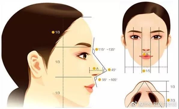 你连鼻基底是什么都不知道，还想有个好看的鼻子?