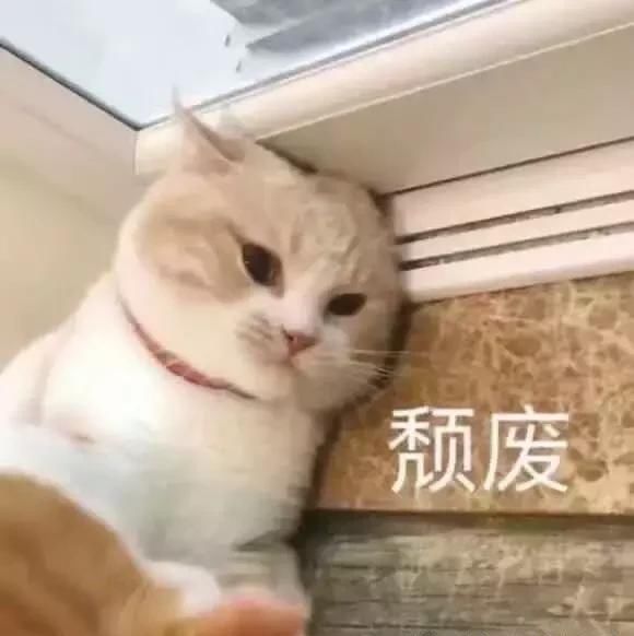 晒晒晒热热热？别急，雨来了！从明天开始连续两天记得带伞