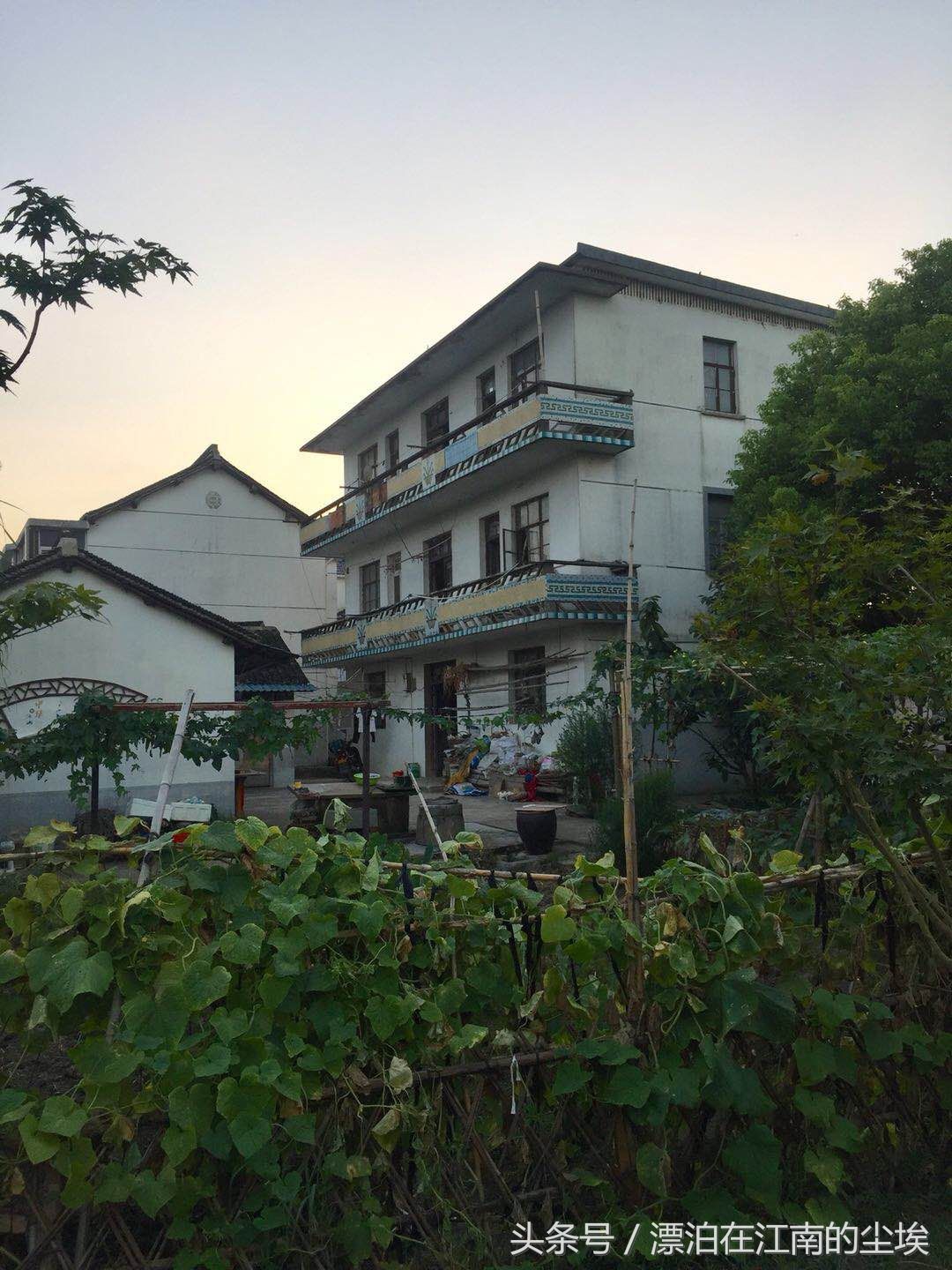 实拍昆山美丽的农村 小桥流水 夏种瓜果冬种菜