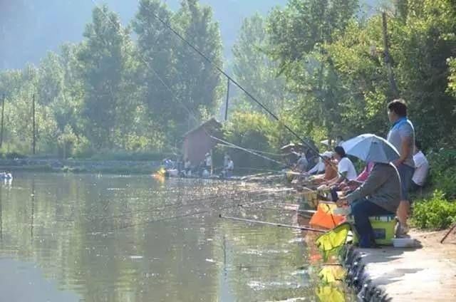  「水域」这几种水情，地势再好也不能下竿