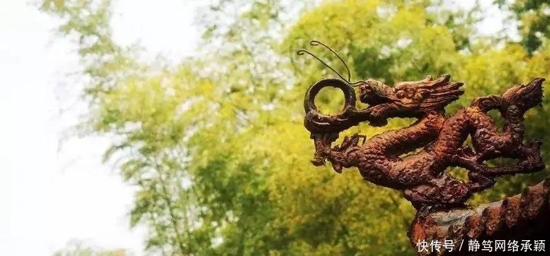 这座低调小城承包了浙江最美的春天, 清明去过两三天乡下生活~