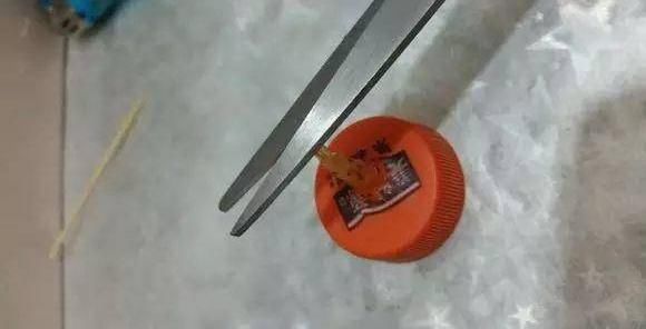  下次@不起眼的塑料瓶，养花的神器，什么都能干，下次可不要丢了