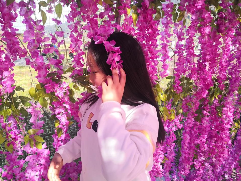 宜昌周边-秭归月亮花谷