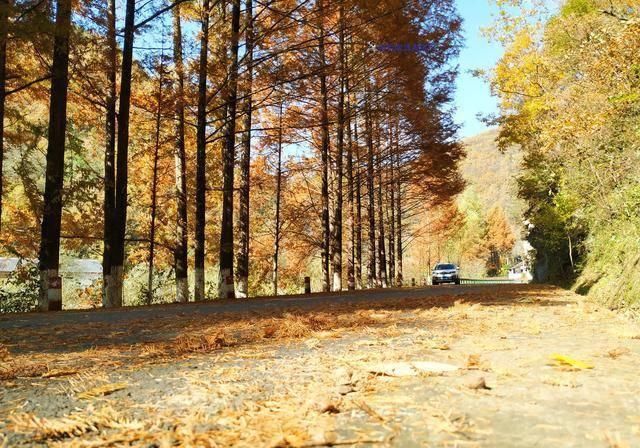 自驾中国最美公路高江路，车轮悬空差点掉河里，当地人居然这么做